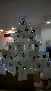 WP_20161220_09_18_33_Pro